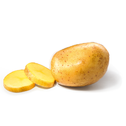 Patate